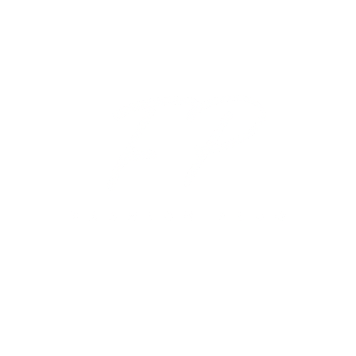 Fashion Plug